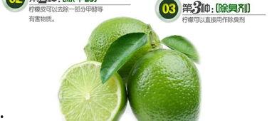 国产 青柠檬视频 国产 青柠檬视频